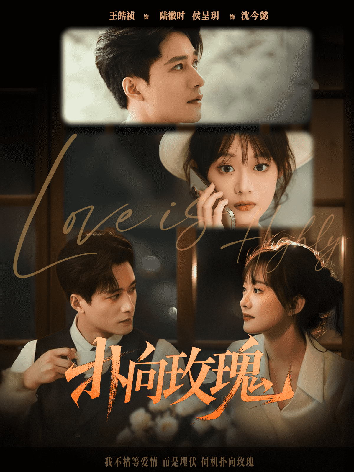 《扑向玫瑰》完整版在线观看