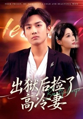 《出狱后捡了高冷妻》完整版在线观看