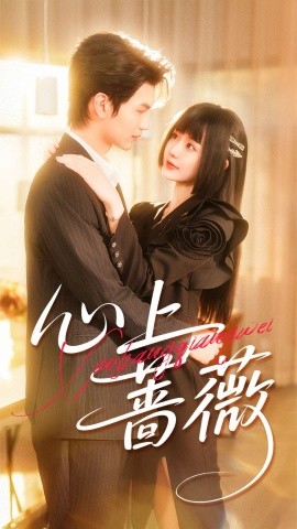 《心上蔷薇》完整版在线观看