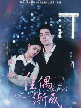 《佳偶渐成》完整版在线观看