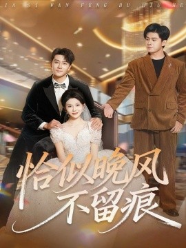 《恰似晚风不留痕》完整版在线观看