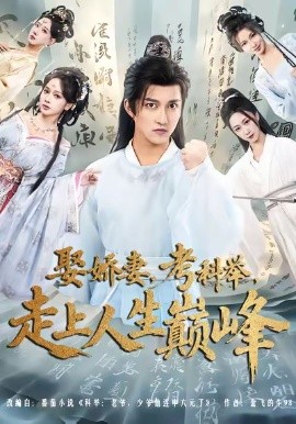 《娶娇妻，考科举，走上人生巅峰》完整版在线观看