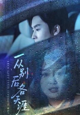 《一从别后各天涯 言尽昕迟爱已成灰》完整版在线观看