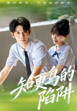 《知更鸟的陷阱》完整版在线观看