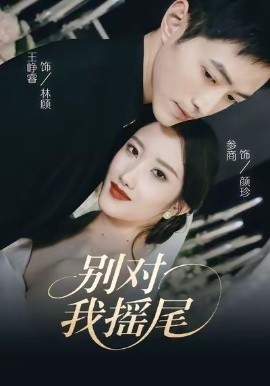 《别对我摇尾》完整版在线观看