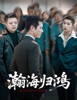 《瀚海归鸿》完整版在线观看