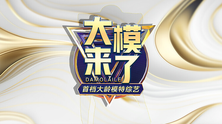 《大模来了》完整版在线观看