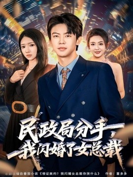 《民政局分手，我闪婚了女总裁》完整版在线观看