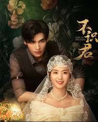 《不识君》完整版在线观看