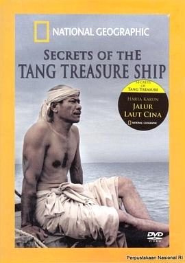 《唐代宝船之谜》完整版在线观看