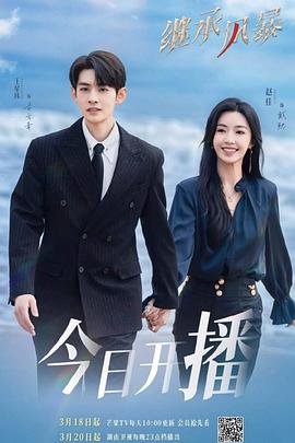 《继承风暴》完整版在线观看