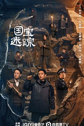 《护宝寻踪》完整版在线观看