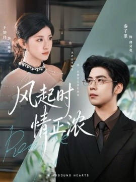 《风起时情正浓》完整版在线观看