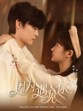 《因为遇见你》完整版在线观看