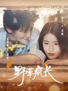 《野草疯长》完整版在线观看