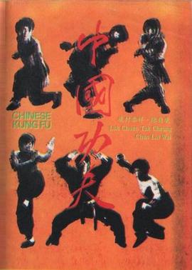 《中国功夫》完整版在线观看