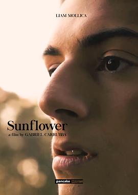 《向日葵2023》完整版在线观看