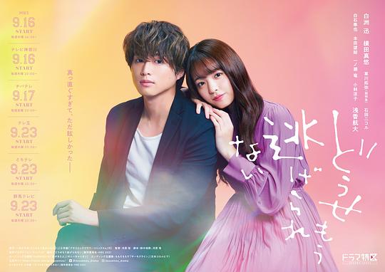 《反正你也逃不掉》完整版在线观看