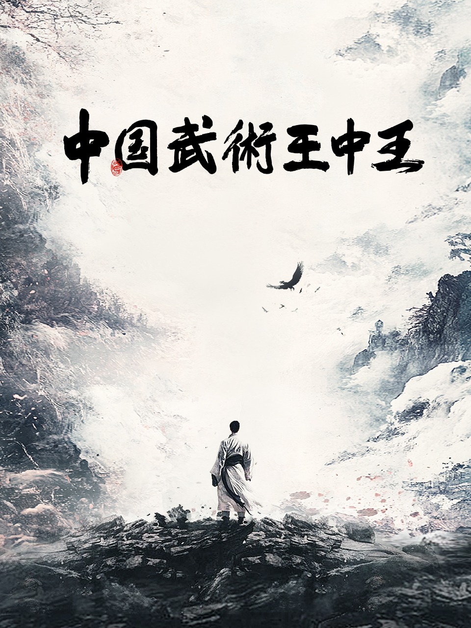 《中国武术王中王》完整版在线观看