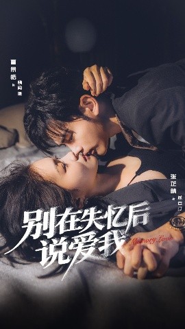 《别在失忆后说爱我》完整版在线观看