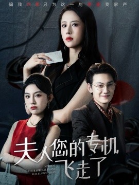 《夫人您的专机飞走了》完整版在线观看
