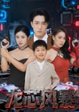 《龙芯风暴》完整版在线观看