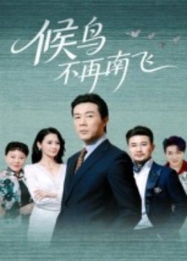 《候鸟不再南飞》完整版在线观看