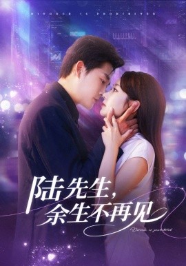 《陆先生，余生不再见》完整版在线观看