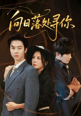 《向日落处寻你》完整版在线观看