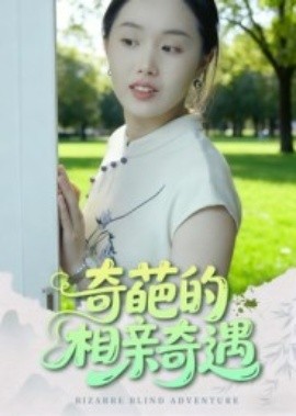 《奇葩的相亲奇遇》完整版在线观看