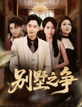 《别墅之争》完整版在线观看