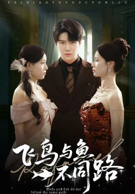 《飞鸟与鱼不同路》完整版在线观看