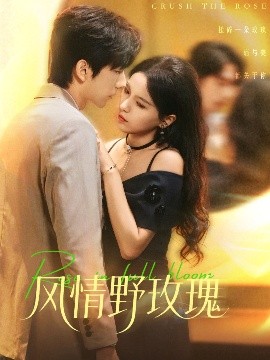《风情野玫瑰 揉碎玫瑰》完整版在线观看