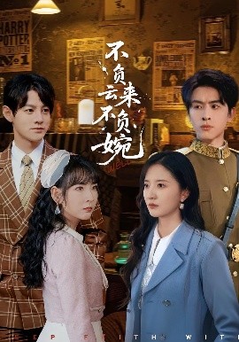 《不负云来不负婉》完整版在线观看