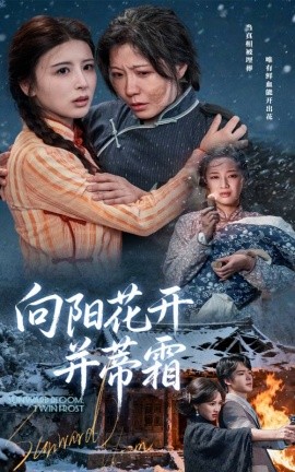 《向阳花开并蒂霜》完整版在线观看