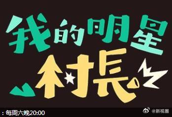 《我的明星村长》完整版在线观看