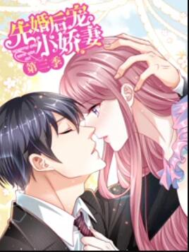《先婚后宠小娇妻第三季》完整版在线观看