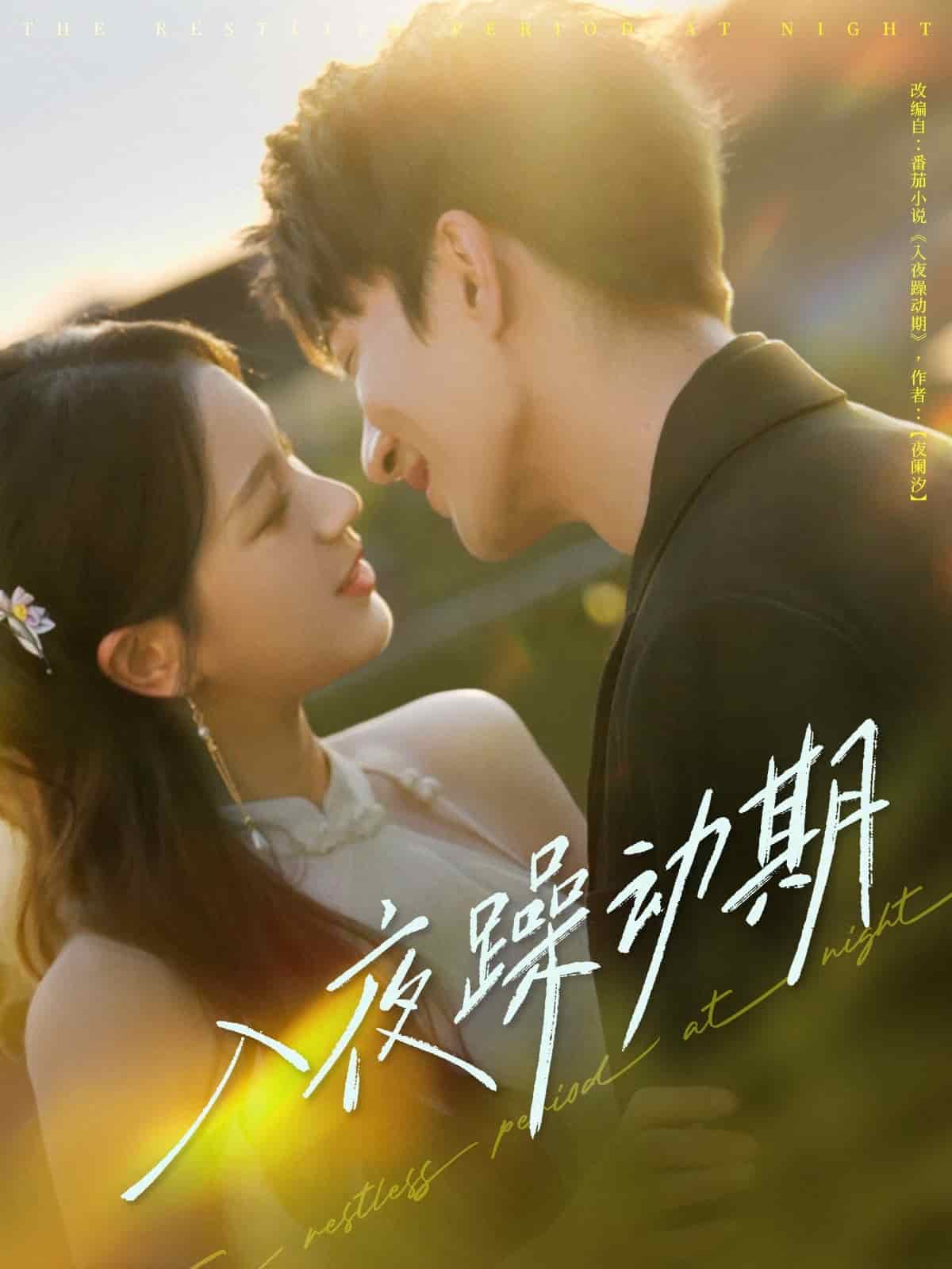 《入夜躁动期》完整版在线观看