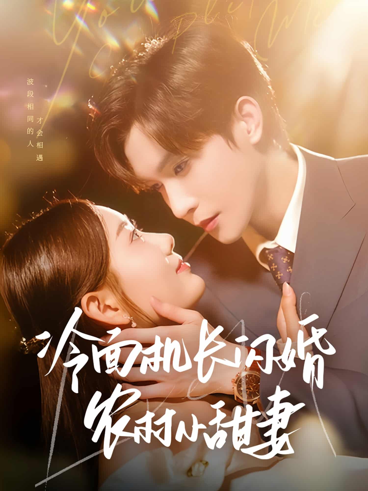 《冷面机长闪婚农村小甜妻》完整版在线观看