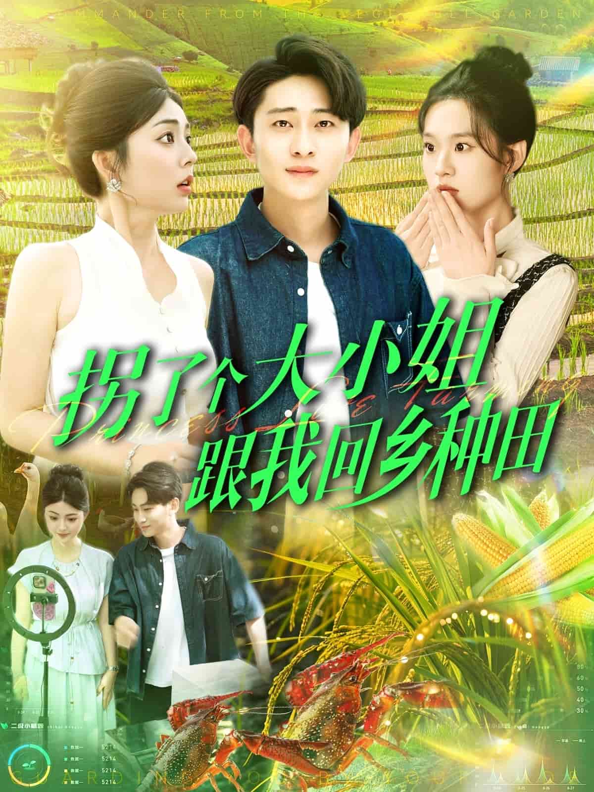 《拐了个大小姐跟我回乡种田》完整版在线观看