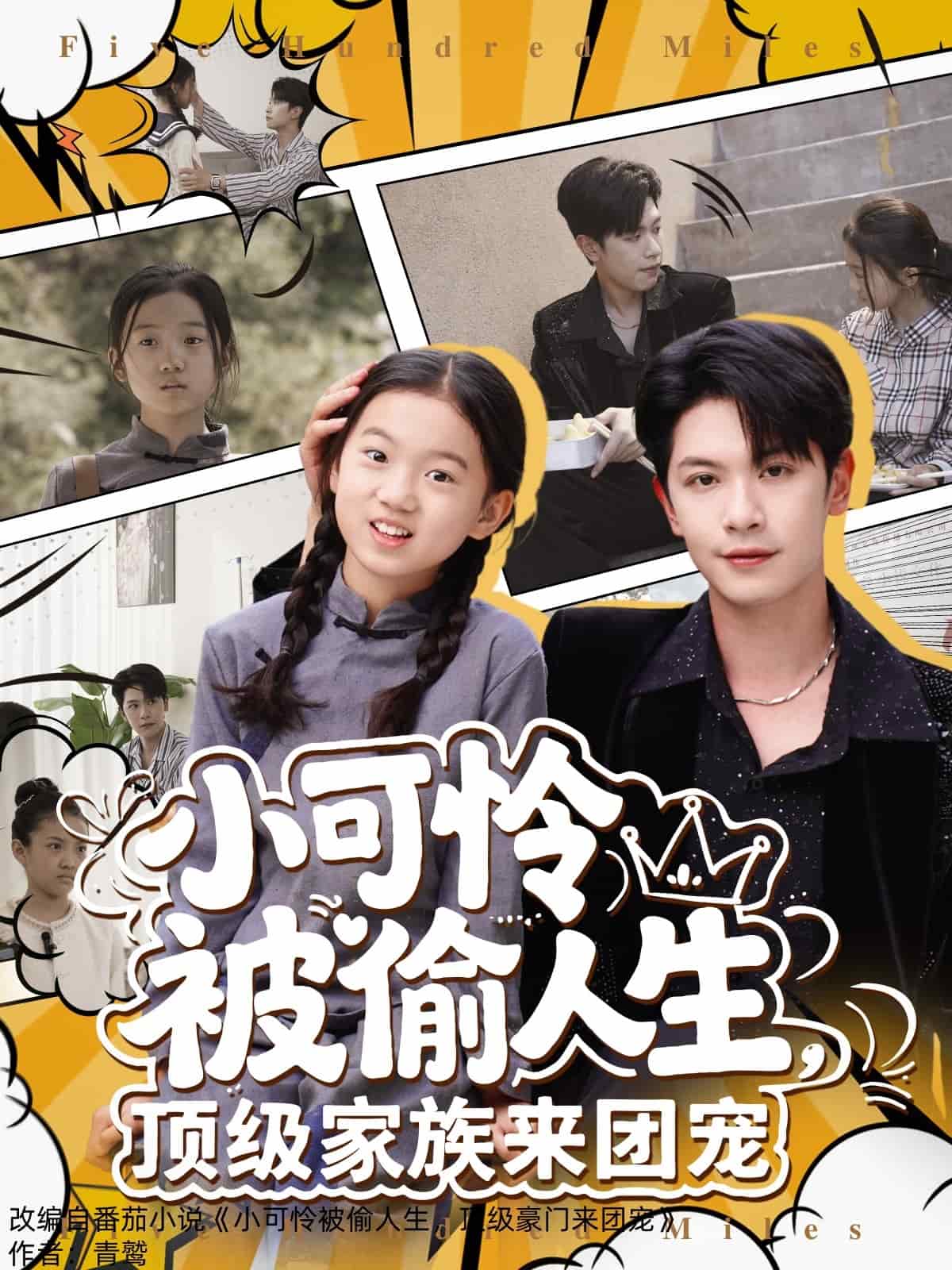 《小可怜被偷人生,顶级家族来团宠》完整版在线观看