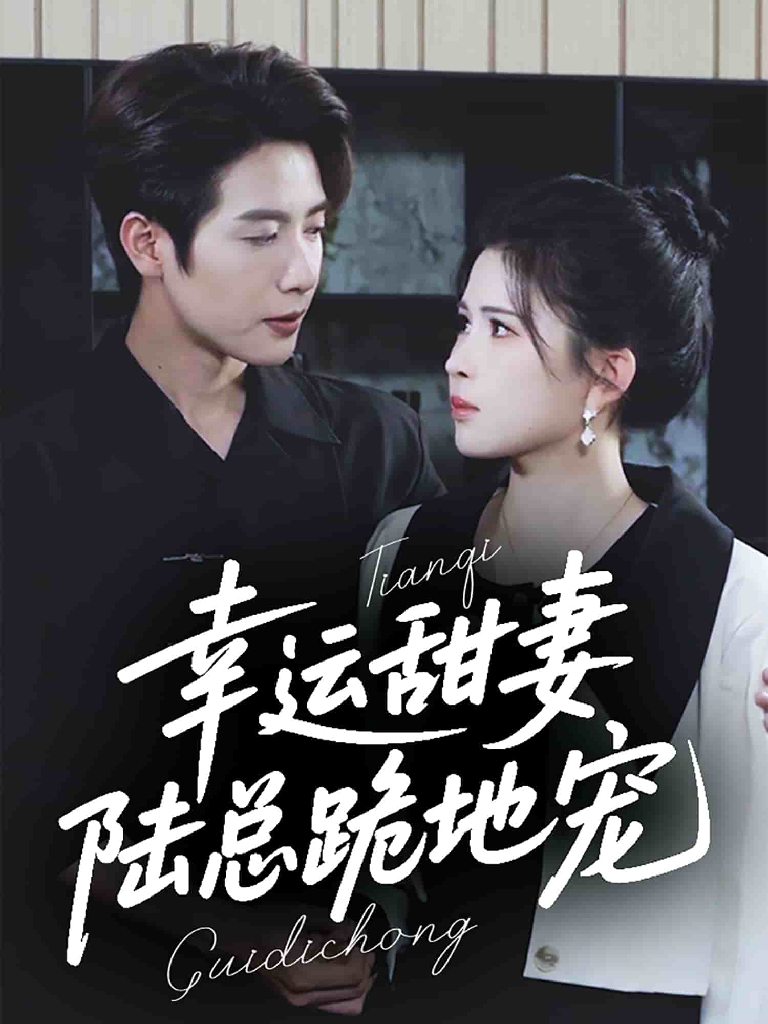 《幸运甜妻，陆总跪地宠》完整版在线观看