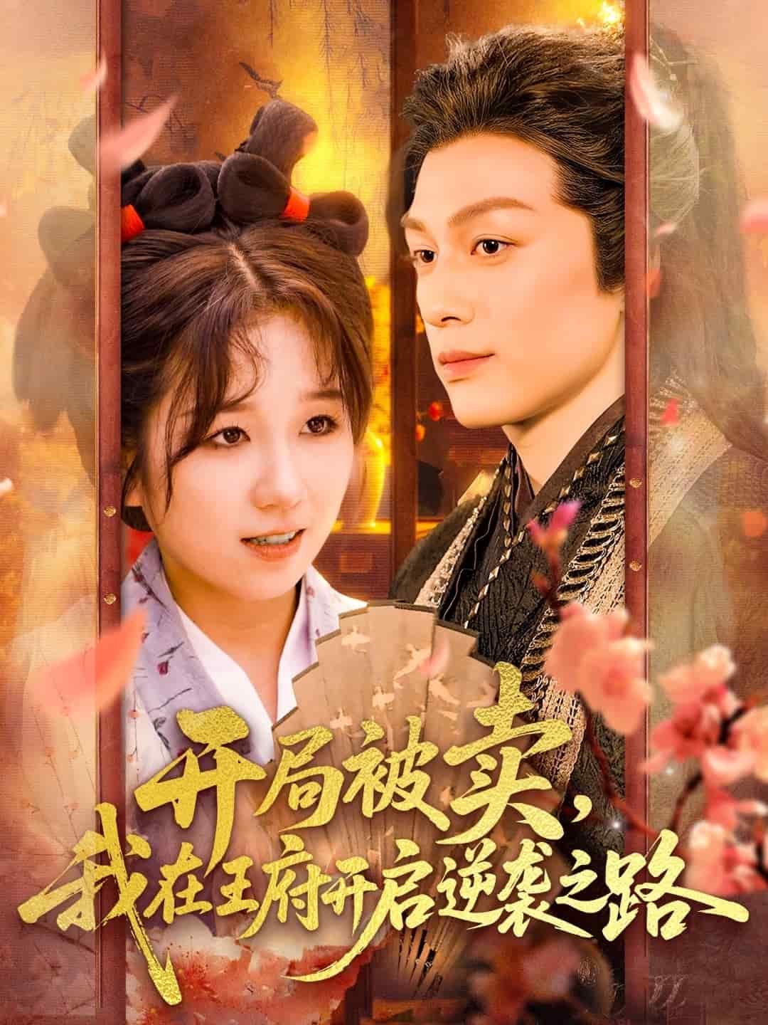 《开局被卖我在王府开启逆袭之路》完整版在线观看