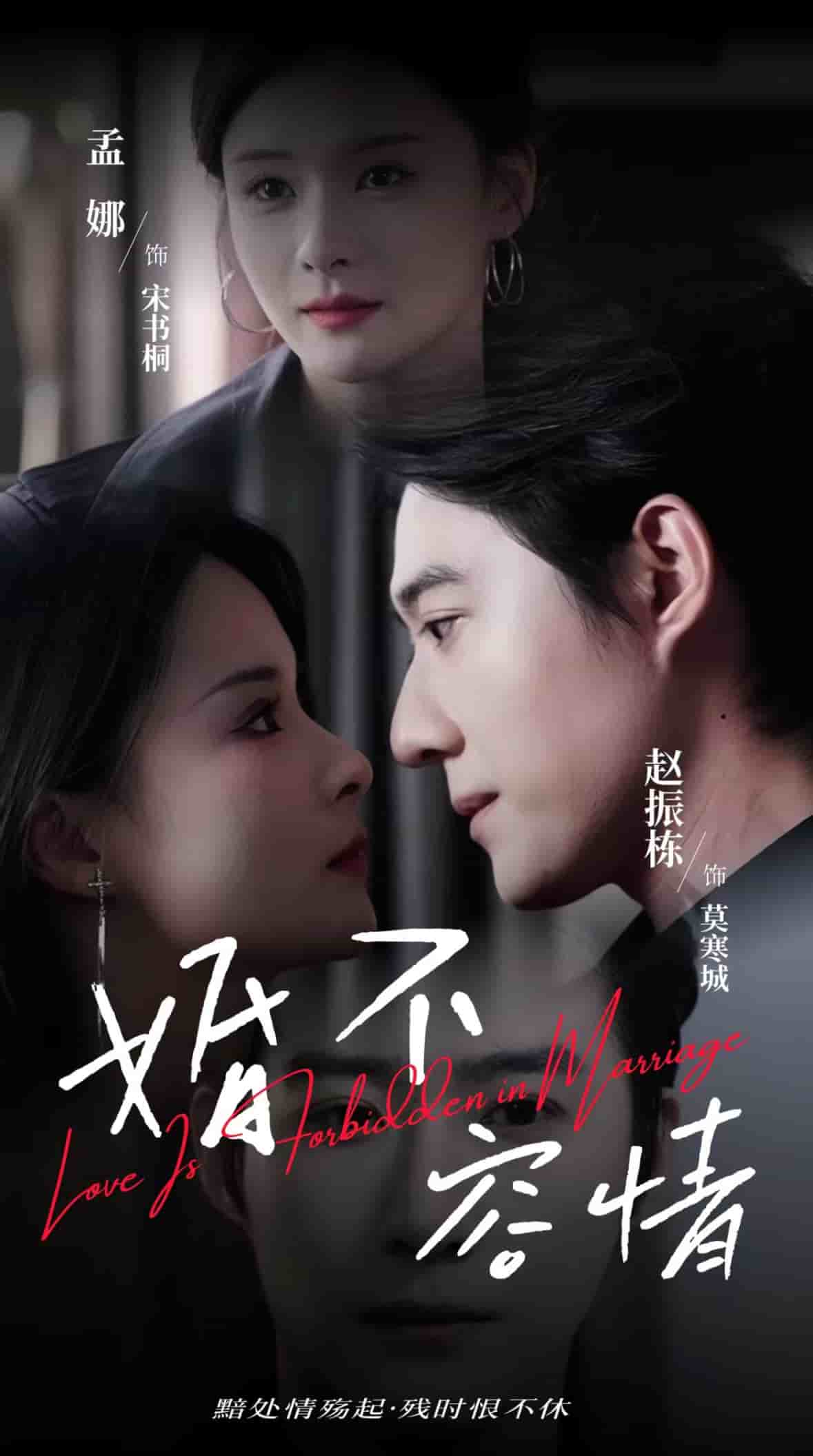 《婚不容情》完整版在线观看