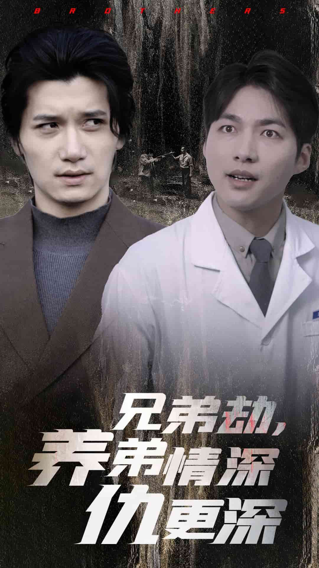 《兄弟劫养弟情深仇更深》完整版在线观看