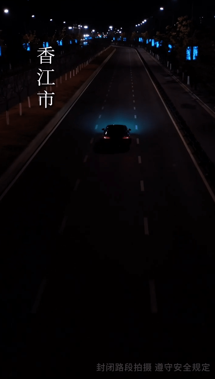 《笼中雀》完整版在线观看