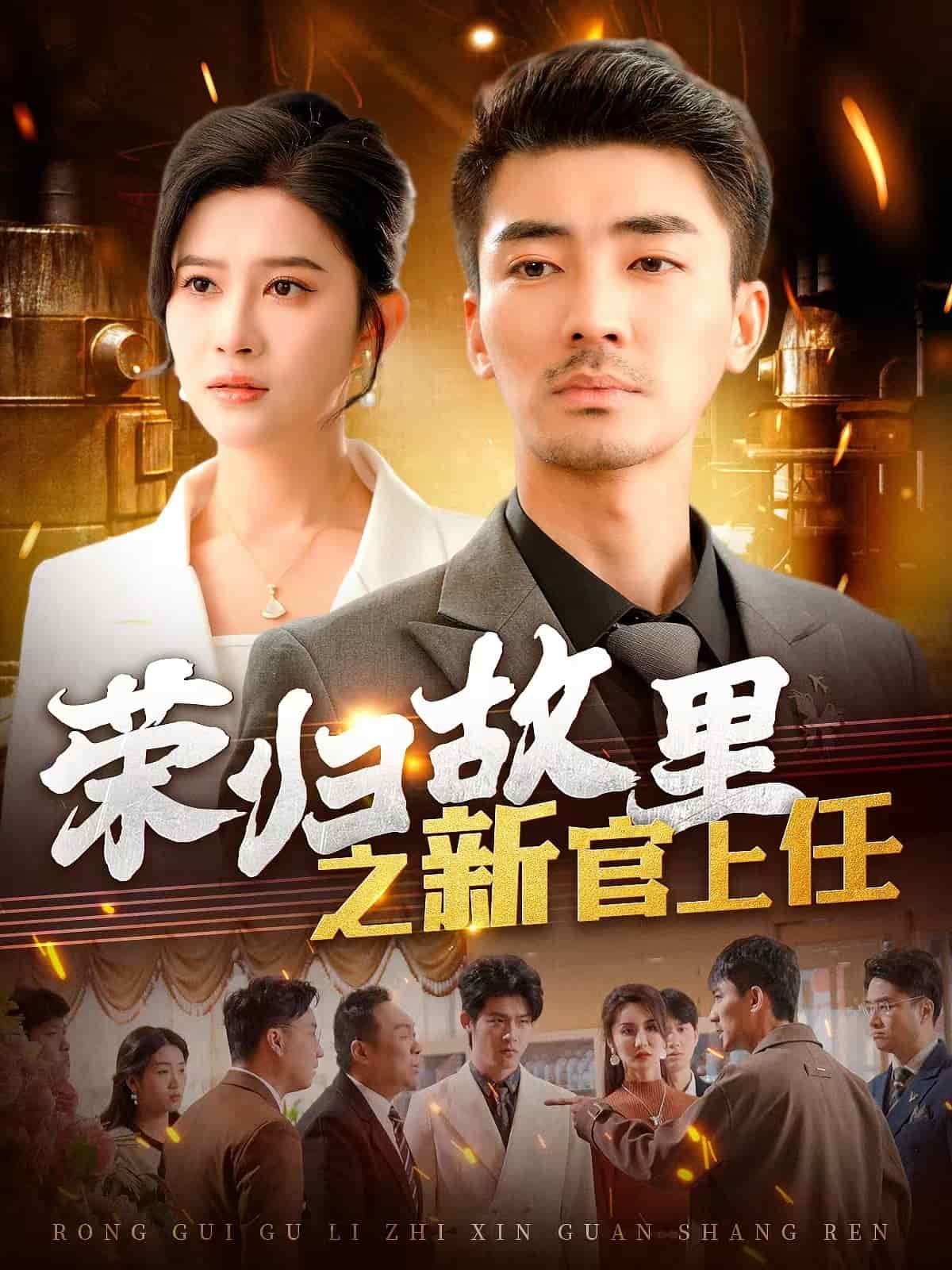 《荣归故里之新官上任》完整版在线观看