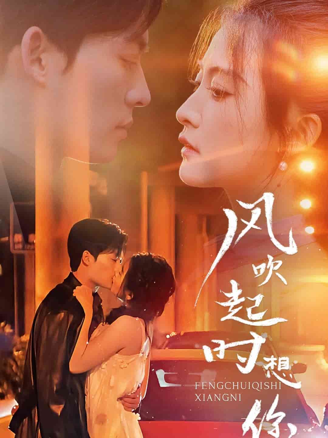 《风吹起时想你》完整版在线观看