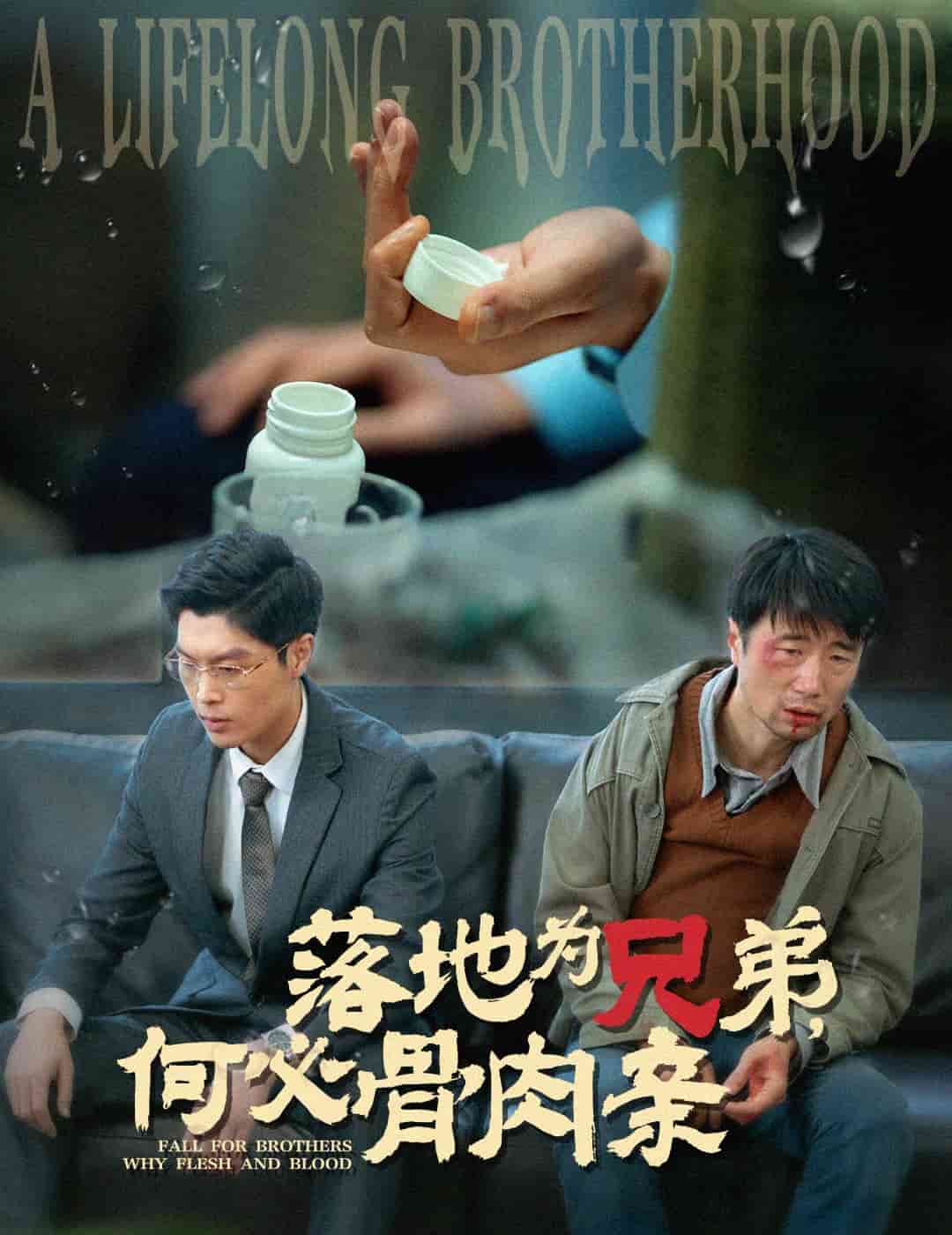《落地为兄弟，何必骨肉亲》完整版在线观看