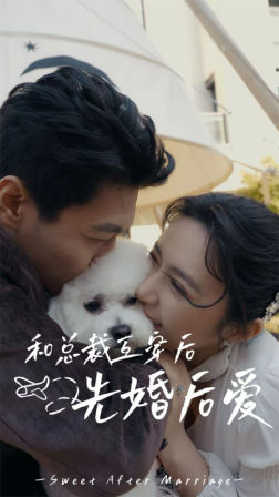 《和总裁互穿后先婚后爱》完整版在线观看